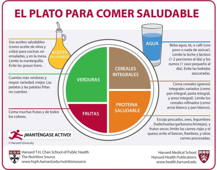 metodo plato saludable